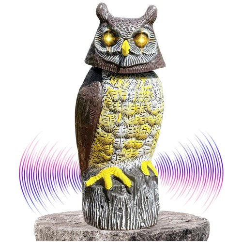 Solar owl with - owl, detector
