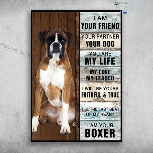 Boxer dog am your - boxer, friend