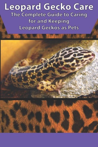 Leopard gecko care - leopard, care: