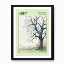 Ebony Tree Atmospheric