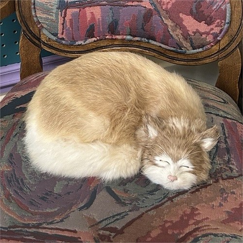 Plush faux taxidermy stuffed - faux,