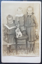 Jack Russell Pup & Children 1909 Photo Cabinet Card Annotated with Names