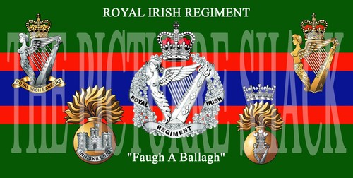 The royal irish - royal, regiment