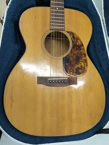 Martin acoustic guitar - martin,