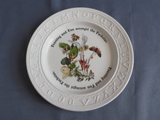 Portmeirion ABC Fairy Plate the Enchanted Garden – ‘Feasting Among the Fuchsias’