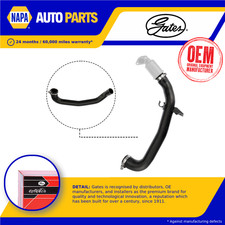 Radiator Hose Lower 05-4174