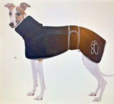 Greyhound / Whippet & Lurcher