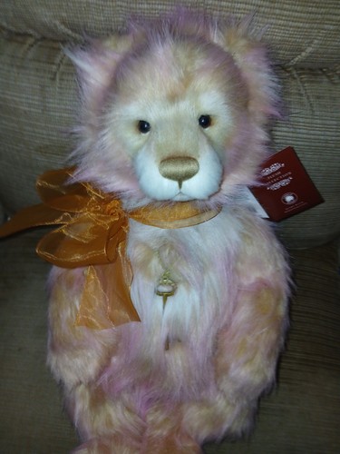 Charlie bears sunset - charlie,