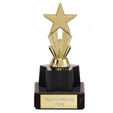 Personalised Engraved MicroStar Gold Great Player Team Award