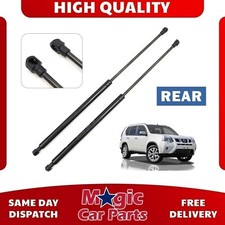 2X TAILGATE BOOT GAS SPRING