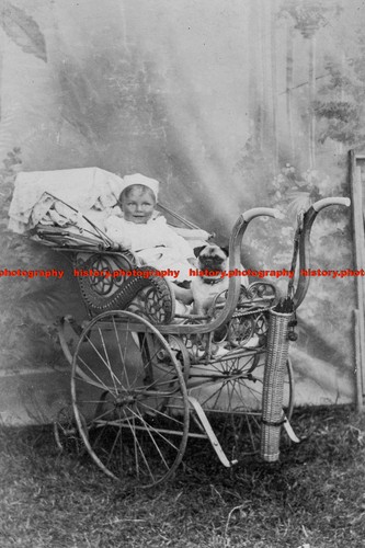 F002319 edwardian portrait - edwardian,