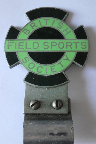 Vintage enamelled car badge - vintage,