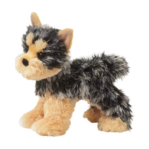 Douglas yonkers yorkie dog - yorkie,