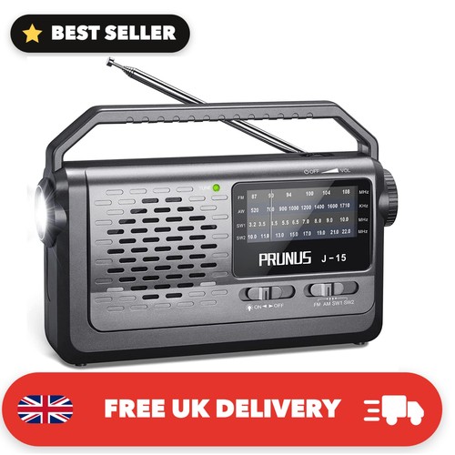 Portable fm sw - j-15,