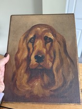 Lovely Oil On Board (?) Painting Cocker Spaniel Dog Portrait Signed N Randall