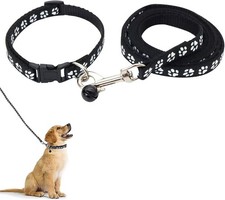 Puppy Collar and Lead Set –