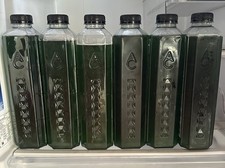 1000ml Marine Phytoplankton High Density