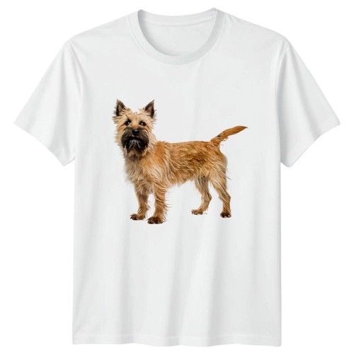 Cairn terrier dog - cairn,