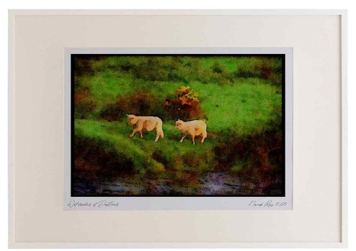 Ireland 385032 follow the - 385032,