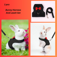 Bunny Harness And Leash Set