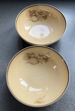 Rare Vintage Denby Memories