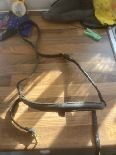 Noseband with flash loop - noseband,