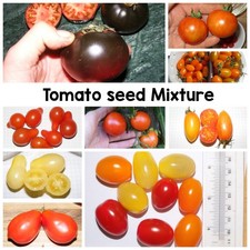 Tomato seed mixture