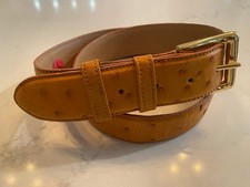 CINCH Authentic Oshtrich Belt