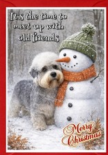 Dandie Dinmont Terrier Dog
