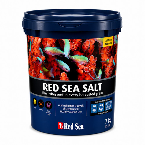 Red sea marine - sea,