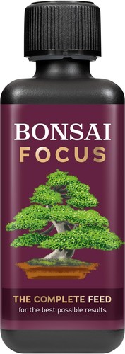 Growth technology ltd bonsai - growth,