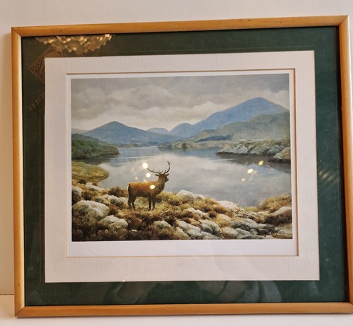 Framed red deer print - red,