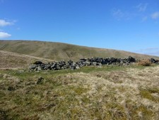 Photo A1 Remains of sheep