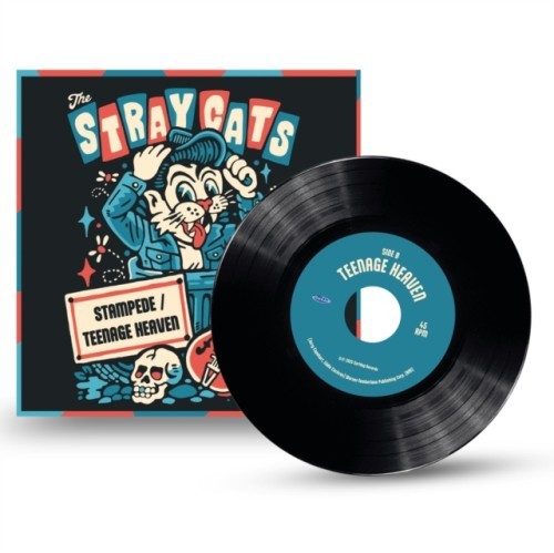 Presale stray cats - *presale*,