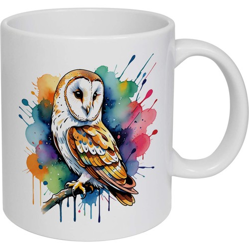Colourful barn owl ceramic - barn, owl'