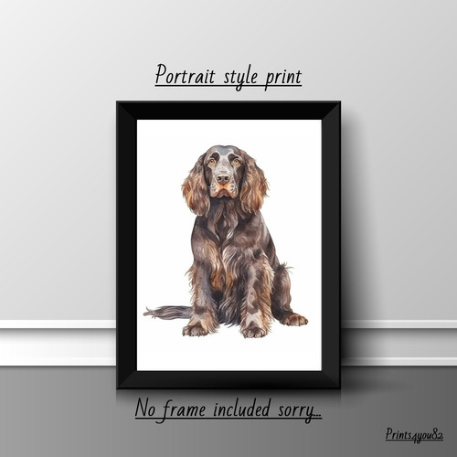 Field spaniel dog pet a4 - spaniel,