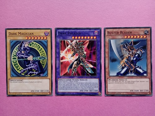 Dark paladin magician - paladin,