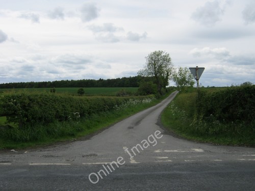 Photo 6x4 blind lane - 6x4,
