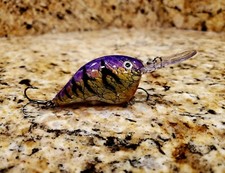 Custom Painted Rapala DT10
