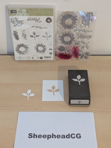 Stampin painted harvest - stampin', up!