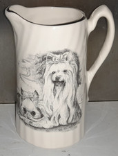Vintage Norfolk China Terrier