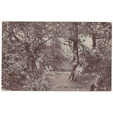 OLD COLWYN Denbighshire People in Fairy Glen Postcard, P/M Old Colwyn 1922