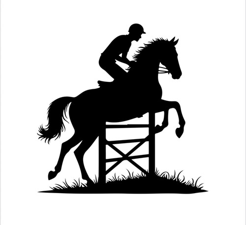 Show jumping horse - show, vinyl