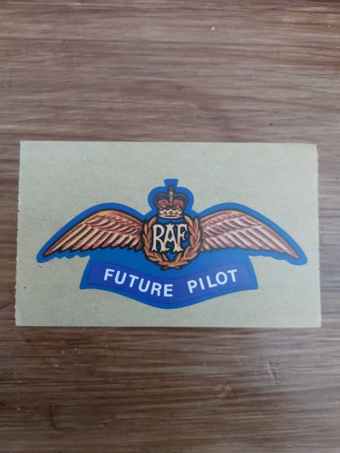 Raf sticker future - raf, sticker,