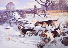 Father Son Beagles Hunting