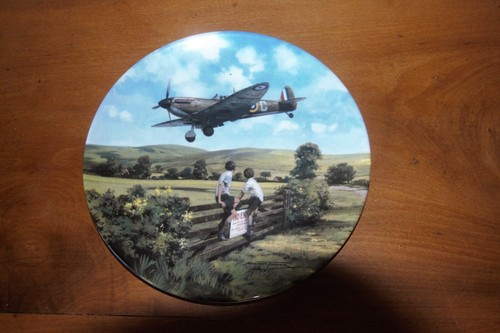 Royal doulton spitfire heroes - royal,