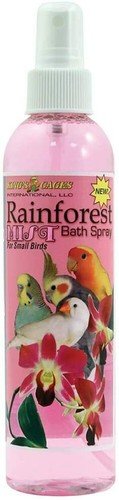 Rainforest mist small - small, bird