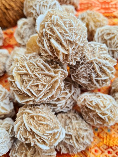 Desert rose miracle - rose, healing