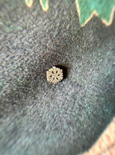 Authentic Pandora Mini Petite