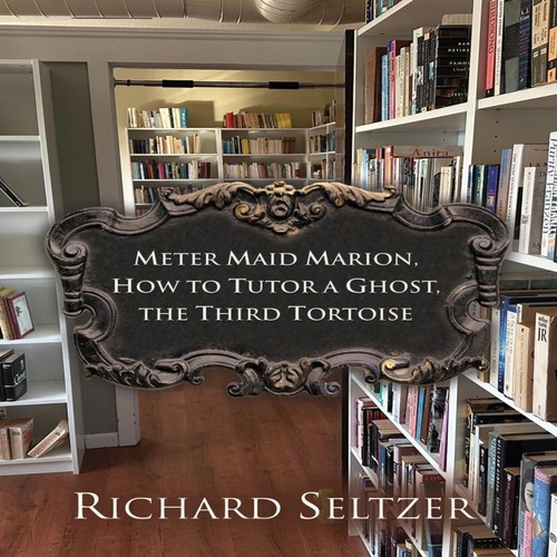 Meter maid marion how to - maid,